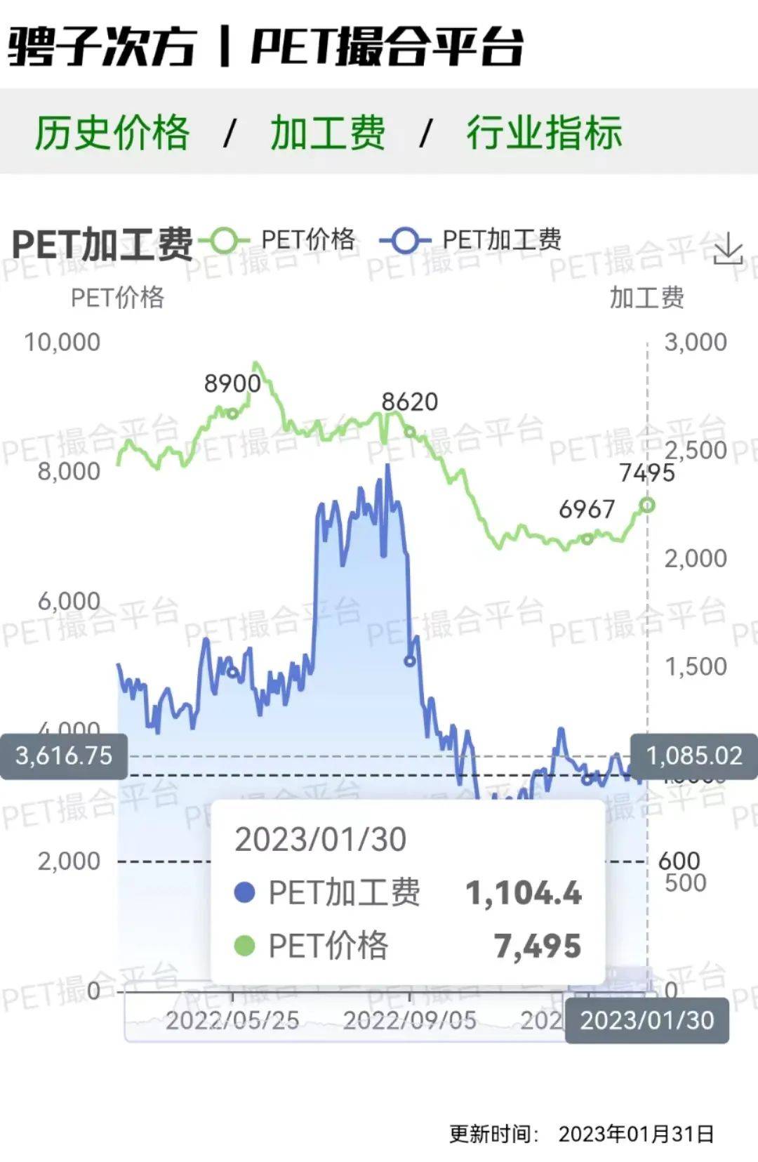 宠物市场最新行情深度解析，宠物价格走势与趋势探讨