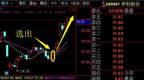 新海股份最新消息全面解读与分析