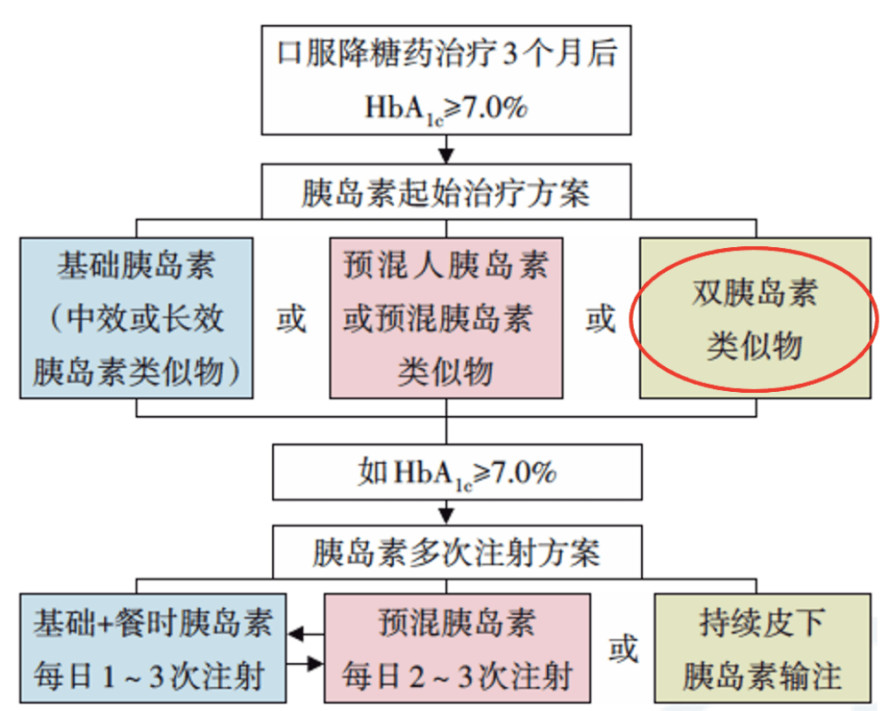 新澳门2024今晚开什么,全面解读说明_Console28.481