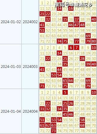 2024新澳天天开好彩大全78期｜实用技巧与详细解析