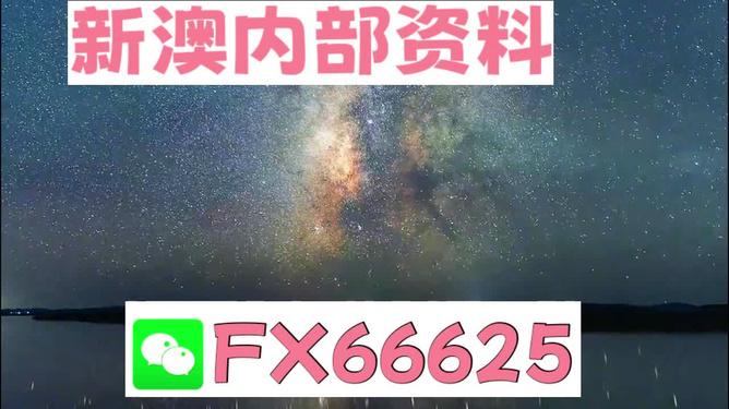 2024新澳天天彩免费资料大全查询,灵活设计解析方案_DX版28.333