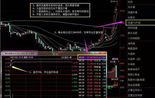 新澳精准资料免费大全｜实用技巧与详细解析