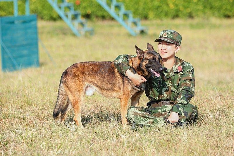 越战越勇最新一期直播，热血战斗实况与观众互动新高度