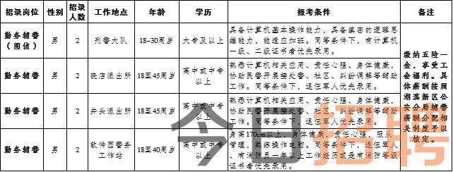 金州最新招聘动态与职业机会探讨