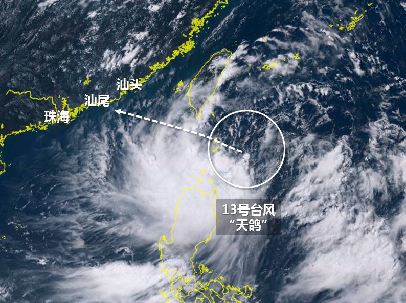 最新台风天鸽情况分析简报