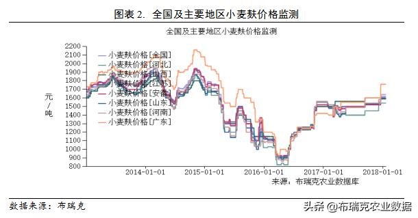 小麦最新行情走势深度解析