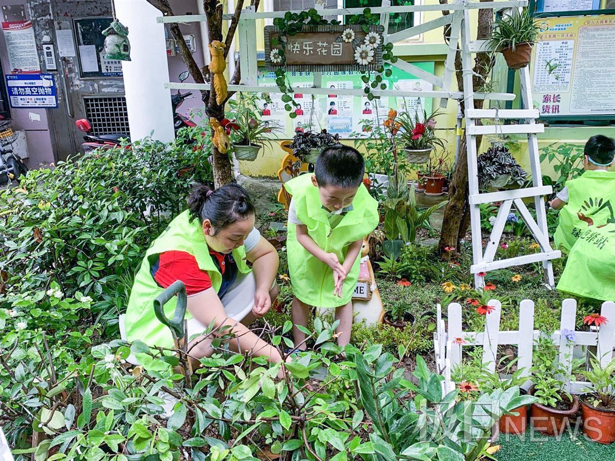 草橮社区最新动态，探索现代化社区发展新路径