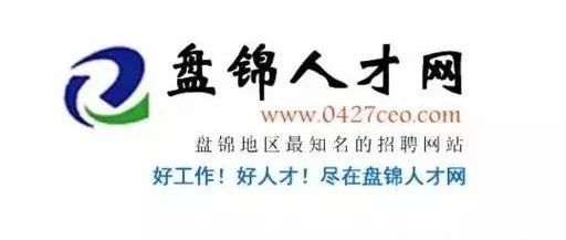 盘锦人才网最新招聘动态深度解析与解读