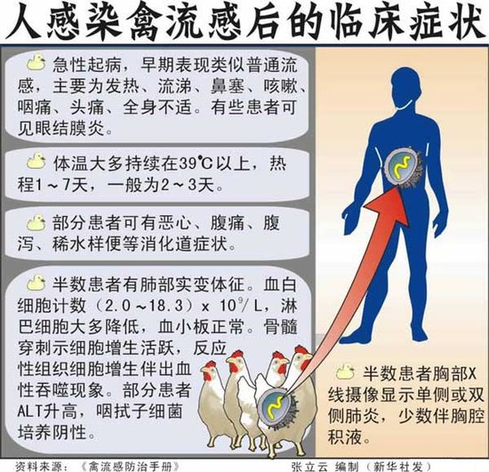 福建禽流感最新动态，全面防控，保障人民健康安全