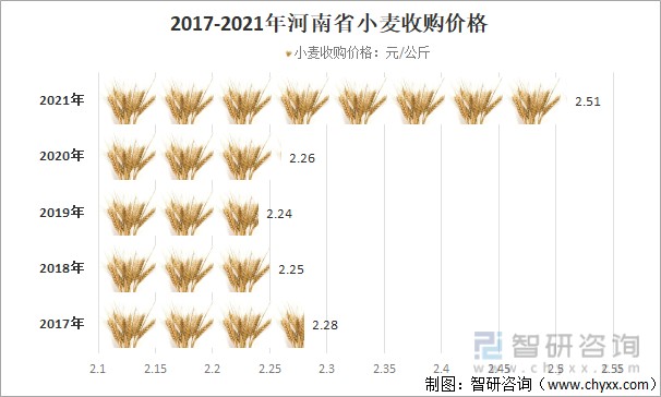 最新小麦走势深度解析与预测