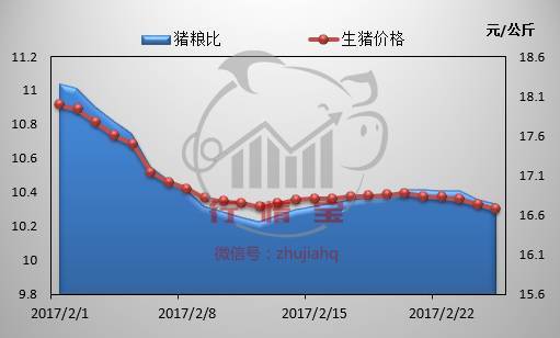 猪行情最新预测走势分析概览