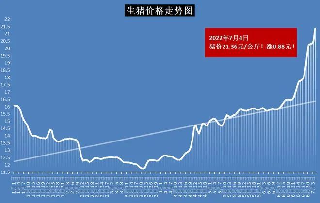 发改委最新公布，猪价走势分析与预测发布