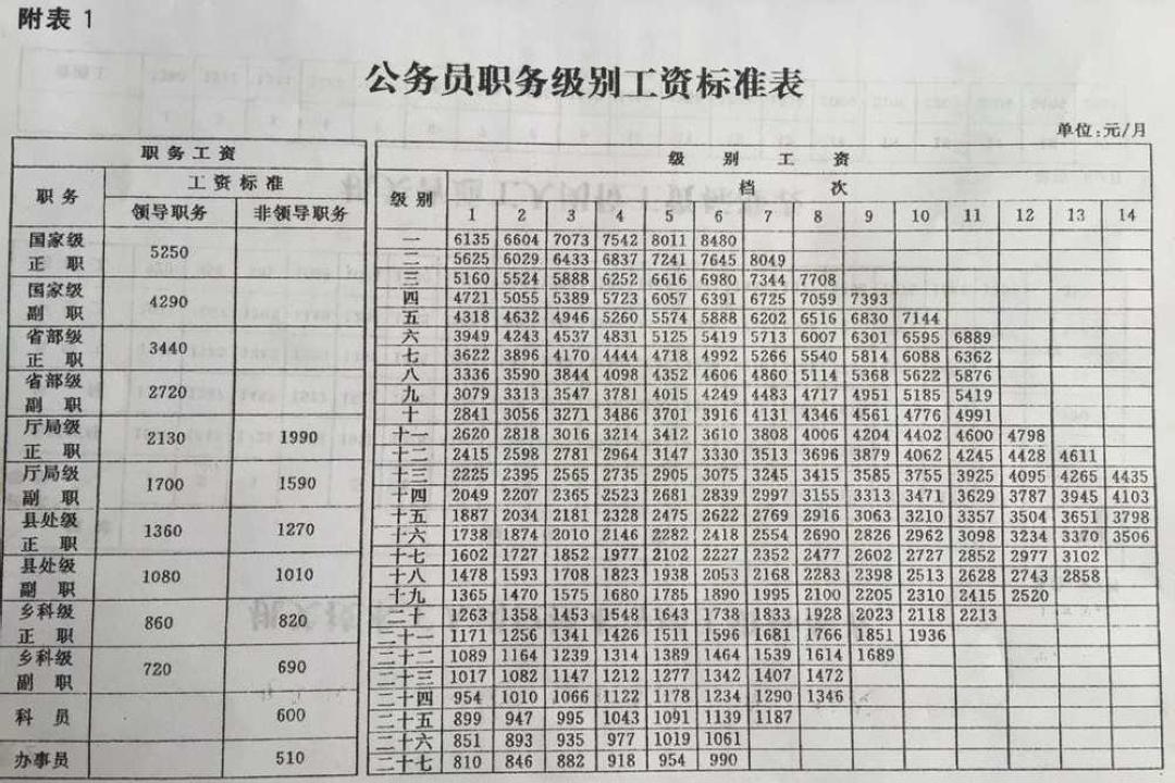 最新公务员职级制度详解与概述