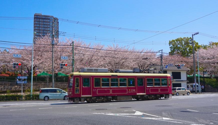 天龙最新区，新时代游戏盛宴探索之旅