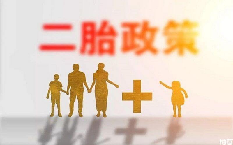 最新二胎政策详解，内容与要求全解析