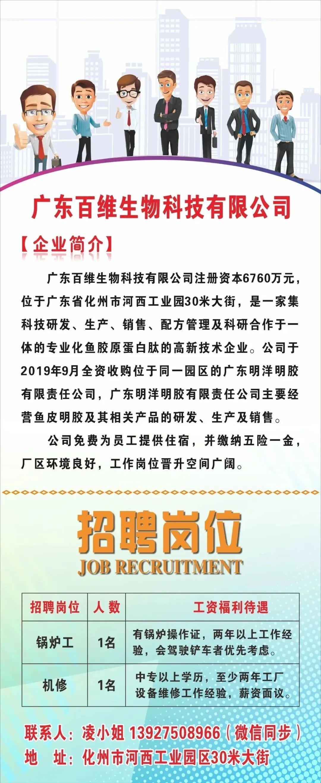 化州市最新招聘信息概览发布！