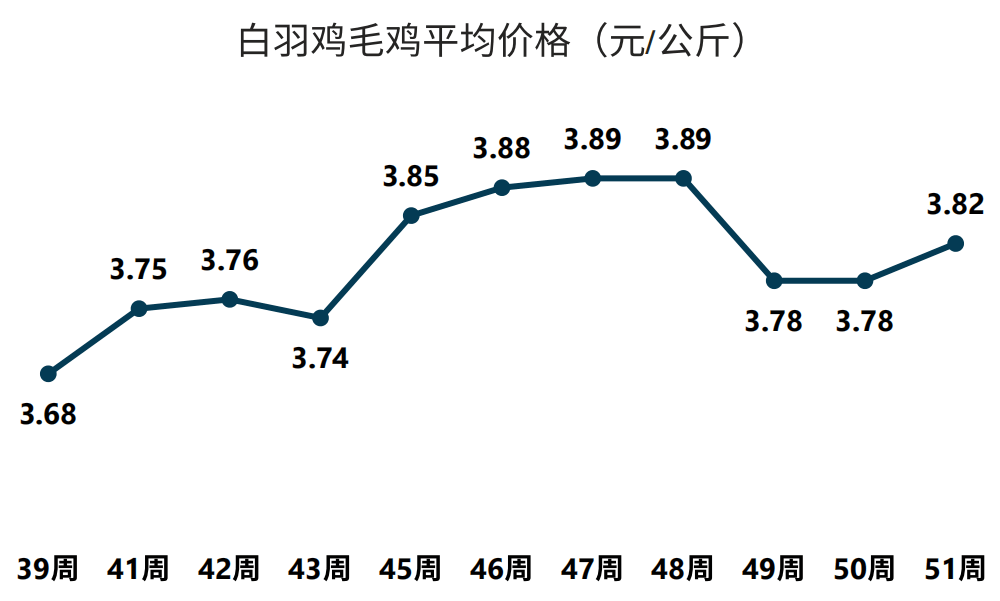 白羽肉鸡最新价格动态及市场分析，趋势预测与市场洞察