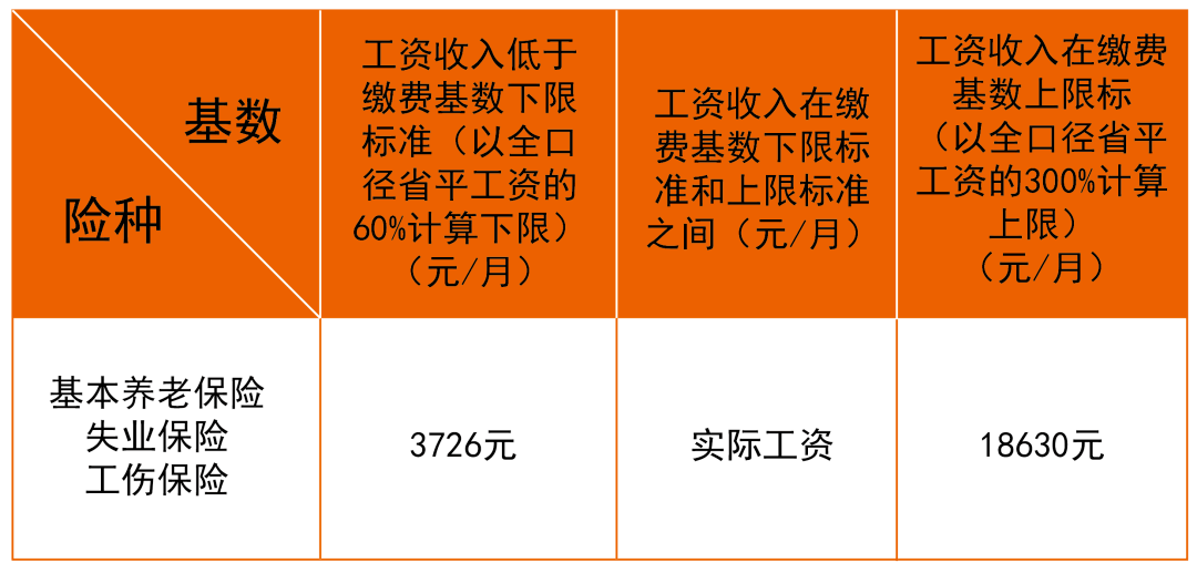 成都最新社保基数详解及解读