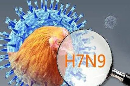 全球视野下的H7N9最新疫情现状与防控挑战