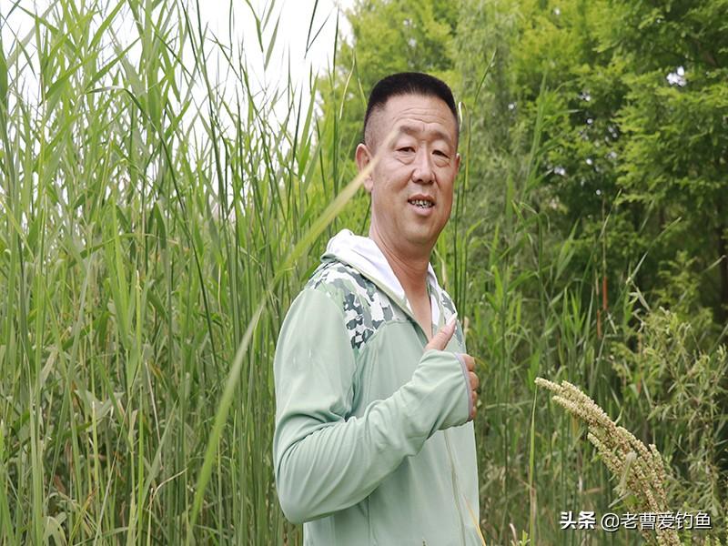 李大毛最新钓鱼视频，深度解析钓鱼技巧与乐趣体验