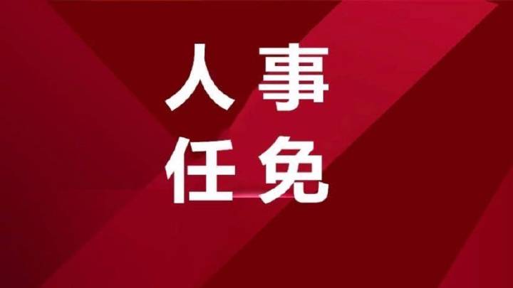 江苏省最新人事任免动态更新