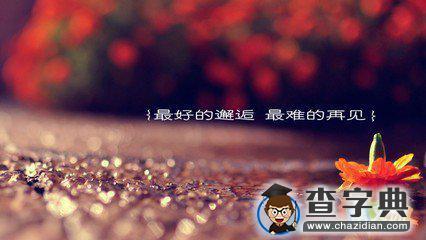 时尚、科技与生活的新篇章，探索最新说说