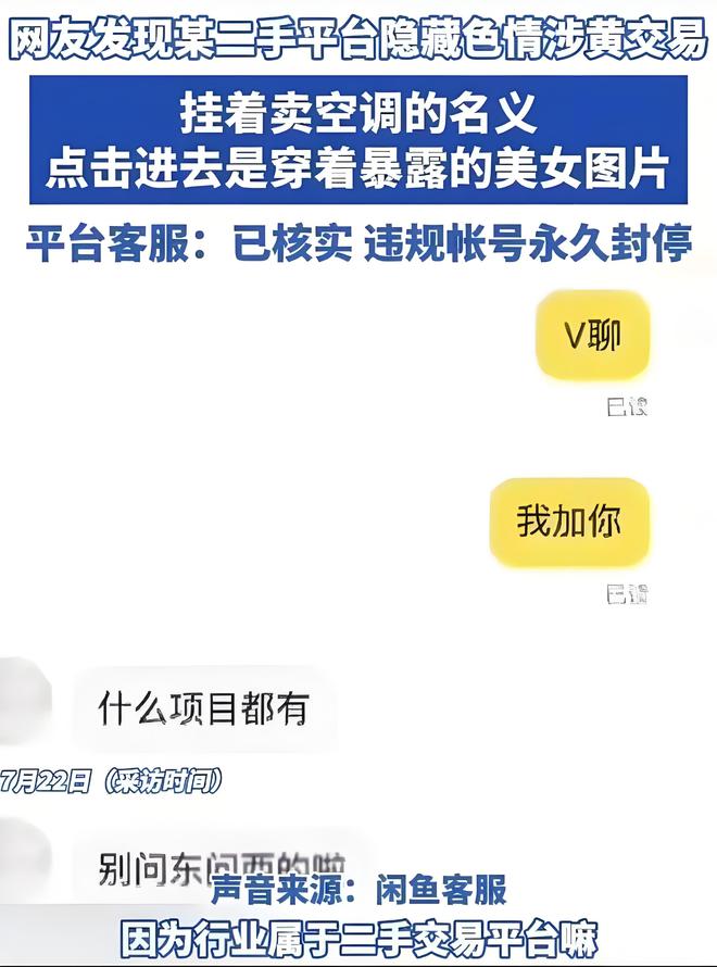 闲鱼最新暗号揭秘，探索二手交易新世界的奥秘