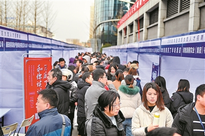 洛阳最新招聘会盛大开幕，人才与机遇的聚焦盛会