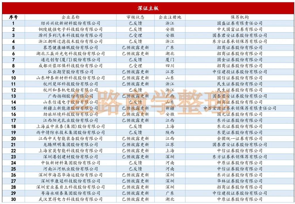 最新IPO排队企业名单及其市场影响力分析概览