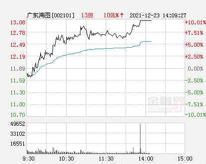 广东鸿图引领行业变革，迈向新征程的最新动态