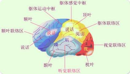 癫痫最新治疗方法概述