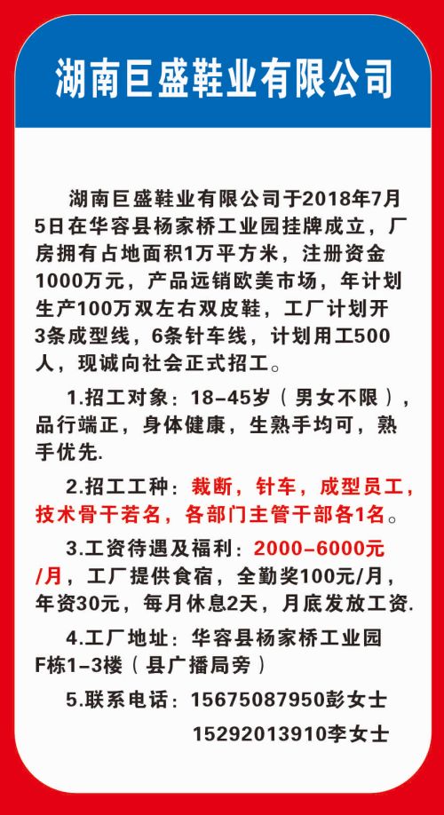 华容最新招聘信息概览发布！