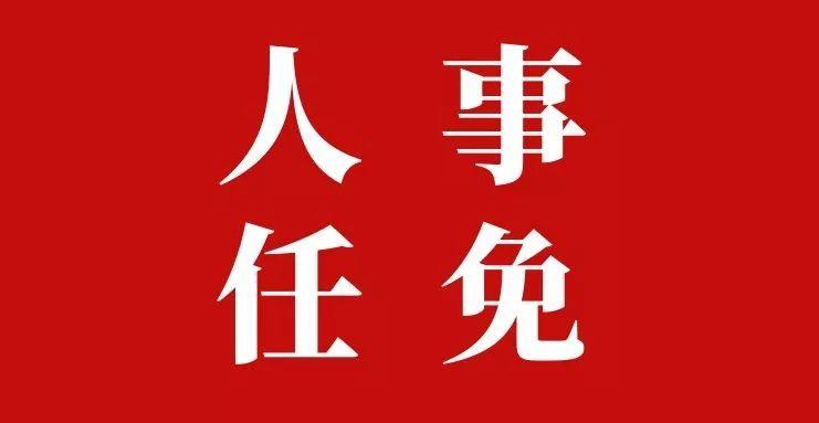 达州最新人事任免概览，人事调整动态及任免名单公布